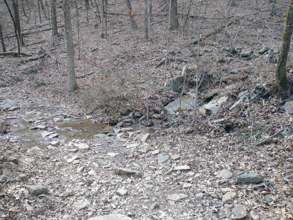 img_20230219_133607954.jpg
