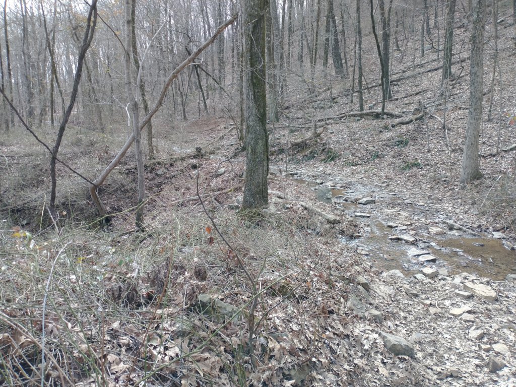 img_20230219_133610781.jpg