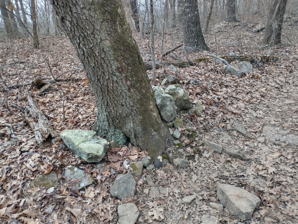 img_20230219_135524648_hdr.jpg