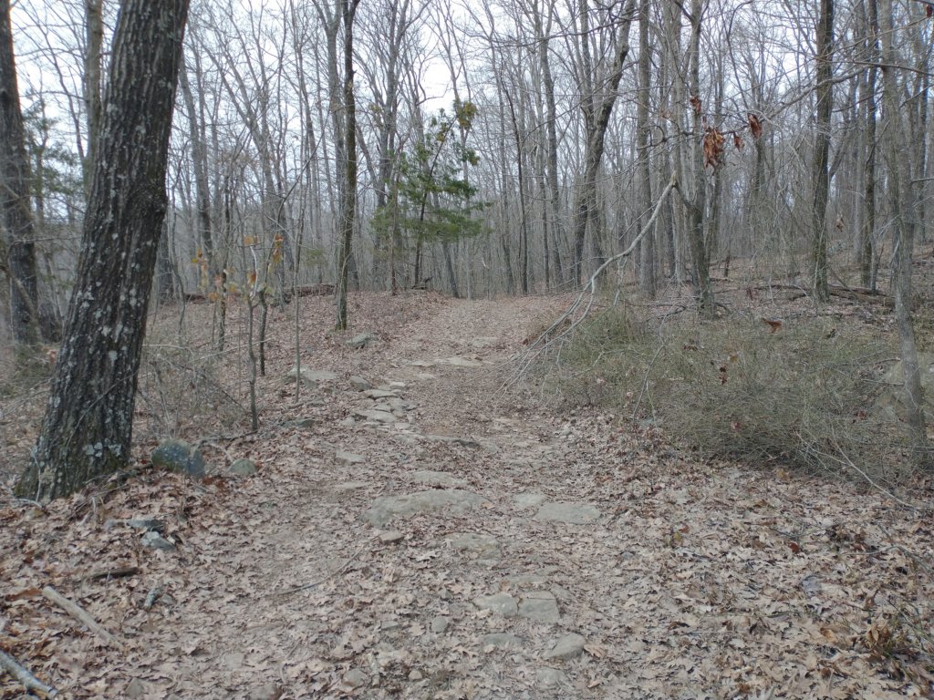 img_20230219_135618550.jpg