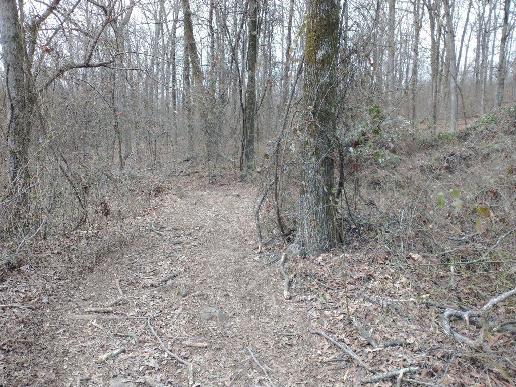 img_20230219_135936790.jpg
