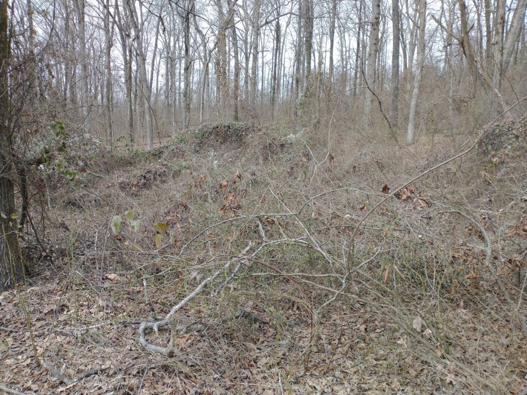 img_20230219_135939338.jpg