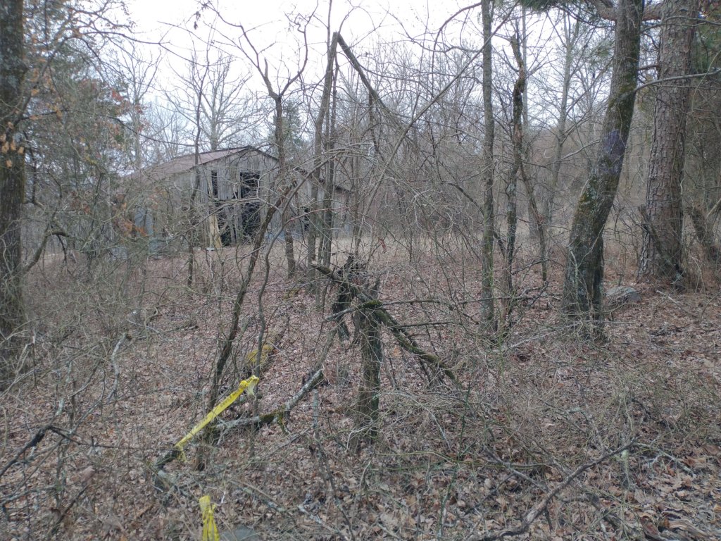 img_20230219_140343813.jpg
