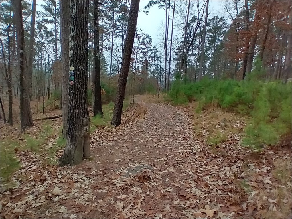 img_20211226_102545087_hdr.jpg