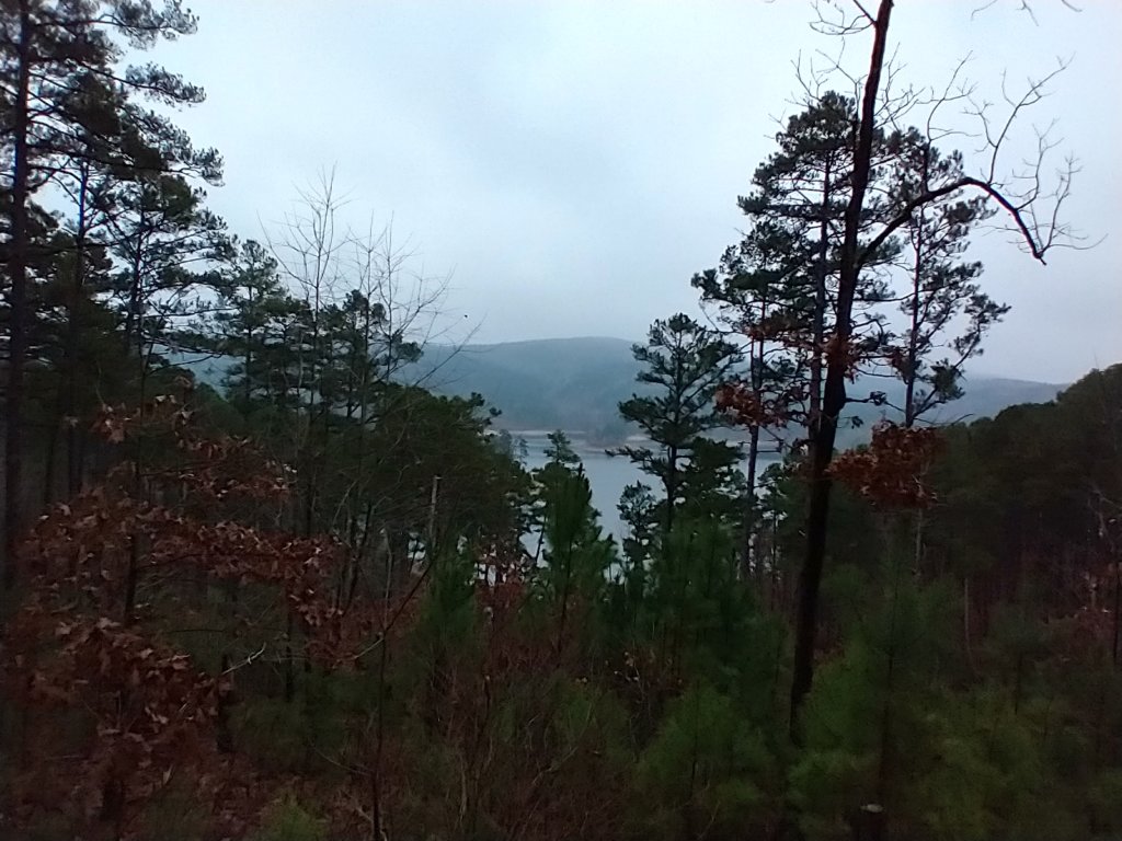 img_20211226_103353482_hdr.jpg