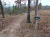 img_20211226_104210656_small.jpg