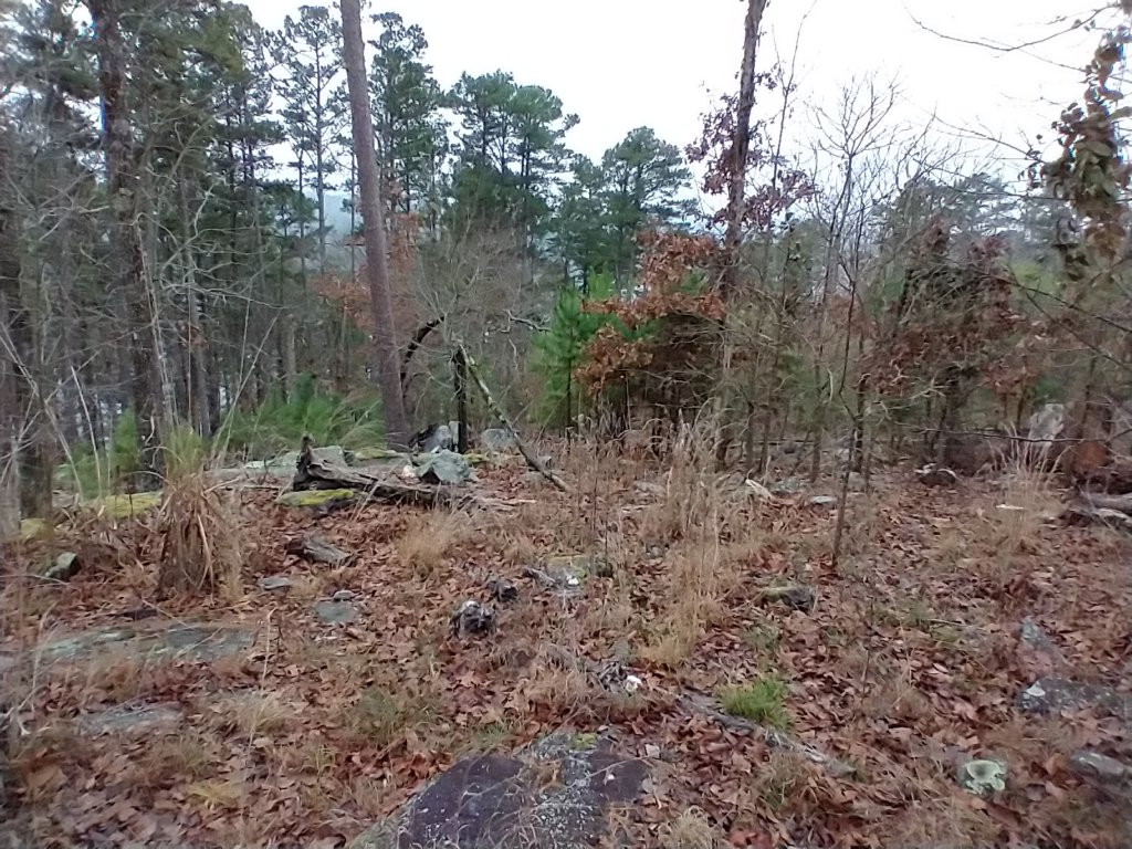 img_20211226_104238953.jpg