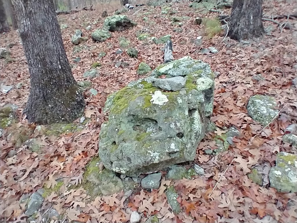 img_20211226_104549486.jpg