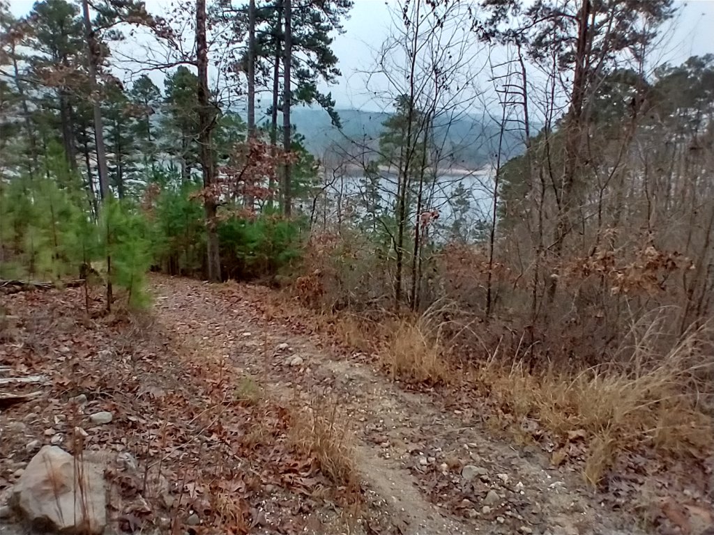 img_20211226_104954813_hdr.jpg