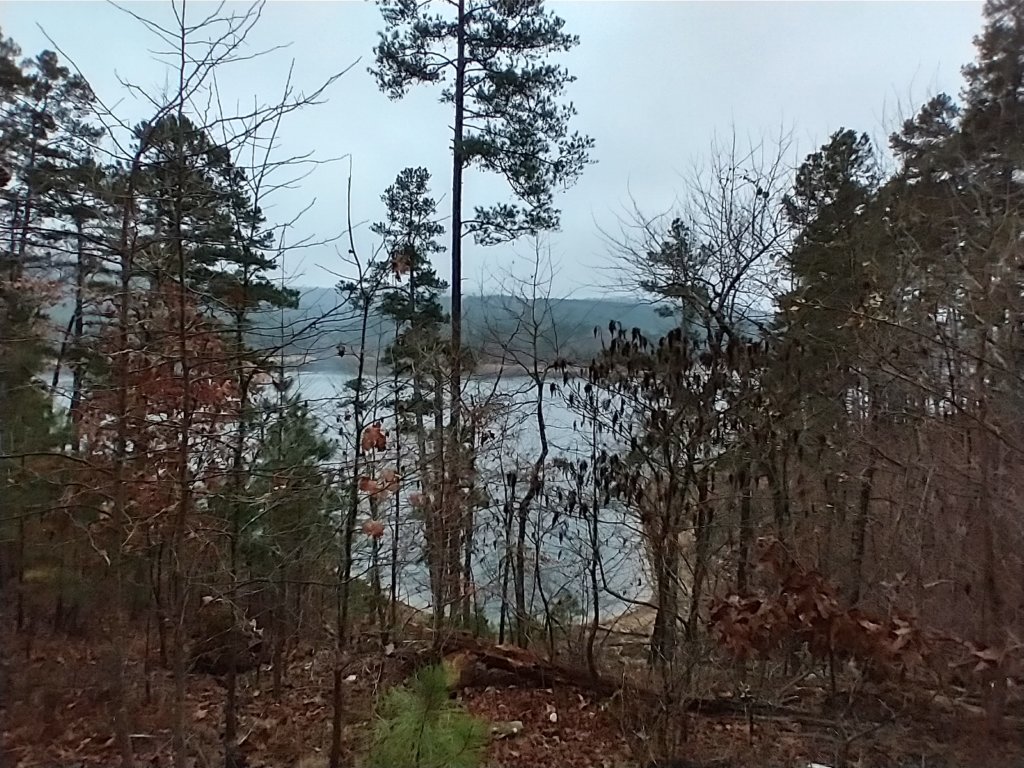 img_20211226_105153889_hdr.jpg