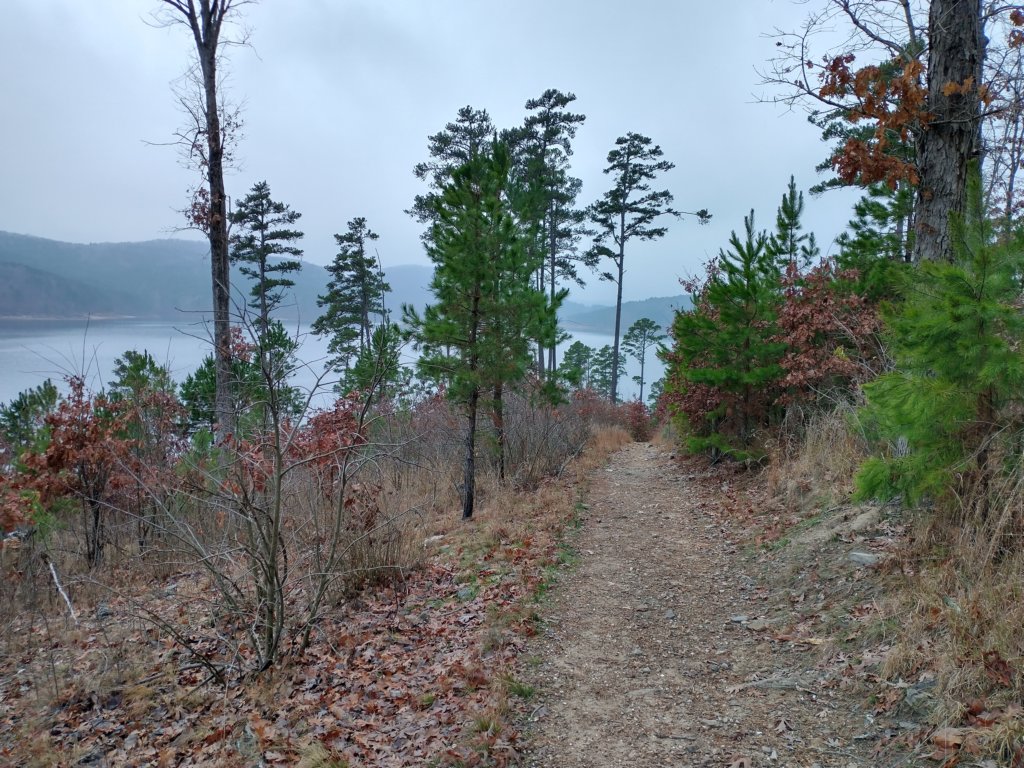 img_20211226_113111272_hdr.jpg