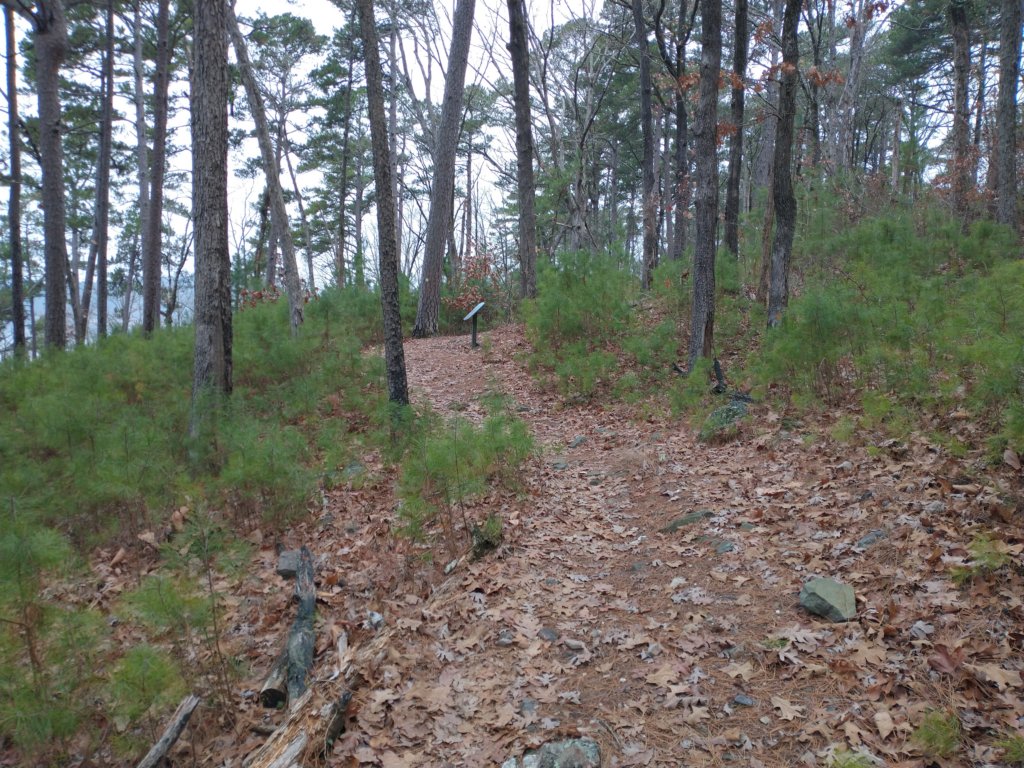 img_20211226_114459024.jpg