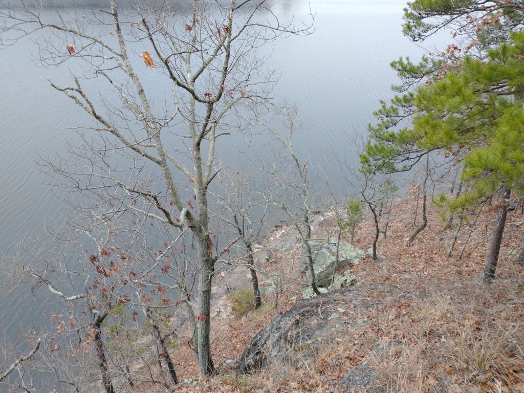 img_20211226_121145465.jpg