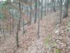 img_20211226_121416141_small.jpg