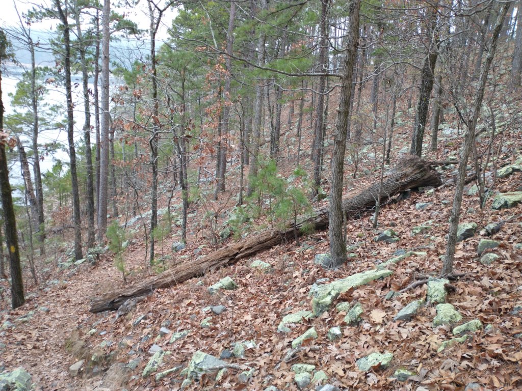 img_20211226_121441924.jpg