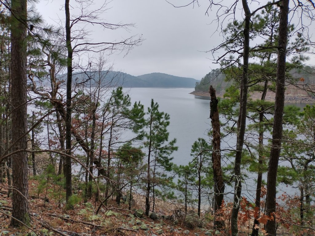 img_20211226_121532923_hdr.jpg