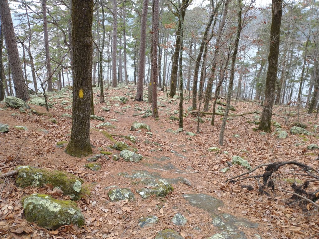 img_20211226_121935153.jpg