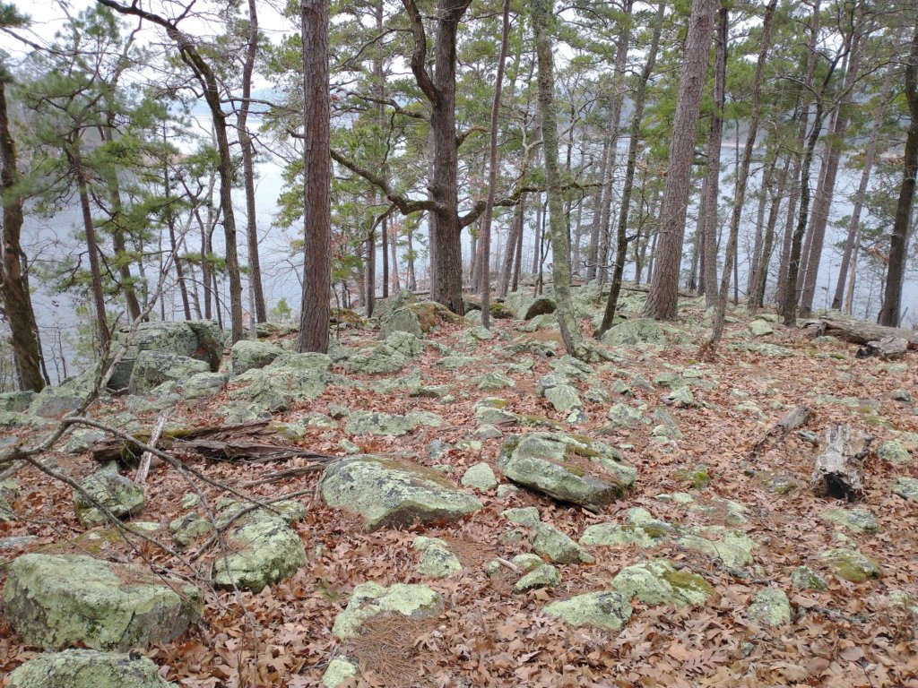 img_20211226_122007230.jpg