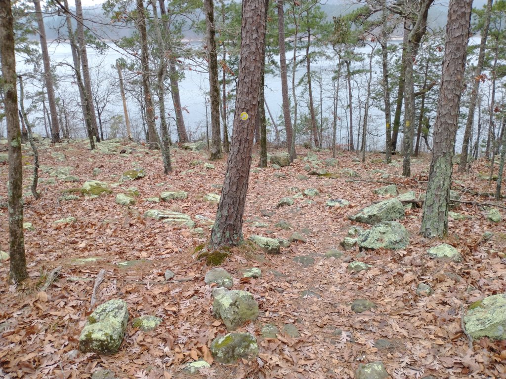 img_20211226_122053640.jpg