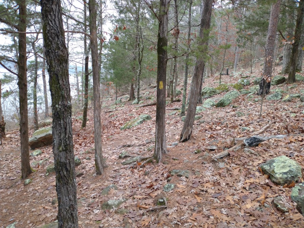 img_20211226_122459365.jpg