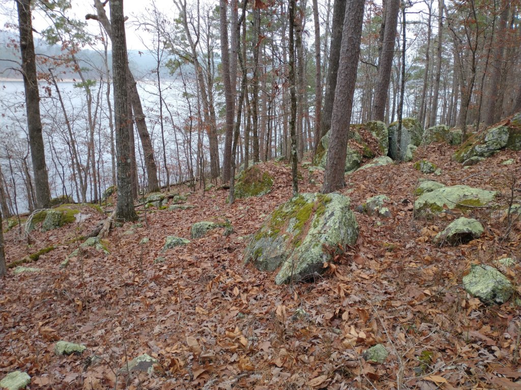 img_20211226_122745292.jpg
