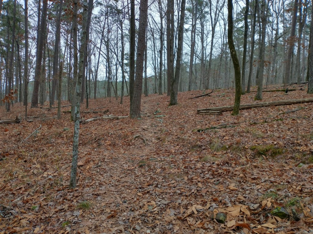 img_20211226_123139688_hdr.jpg