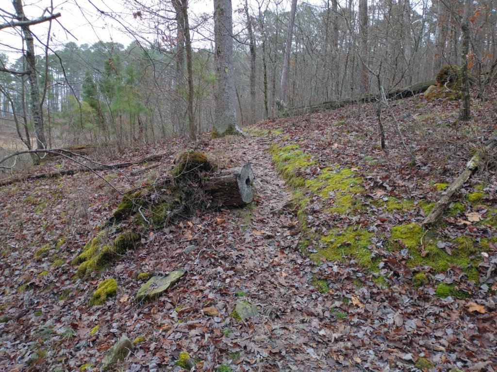 img_20211226_123534336.jpg