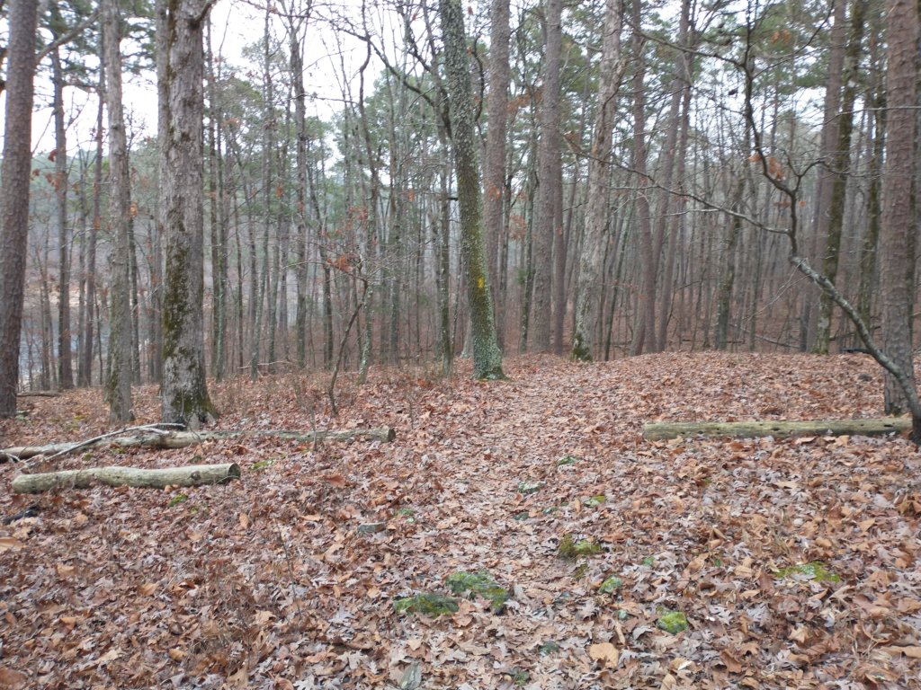 img_20211226_124132890.jpg