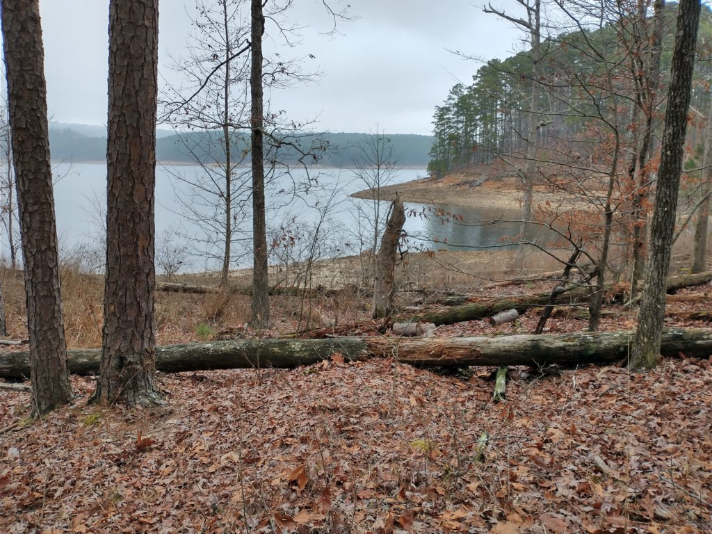 img_20211226_124340738_hdr.jpg
