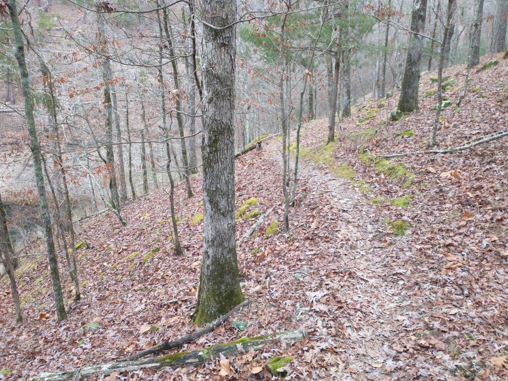 img_20211226_124743466.jpg