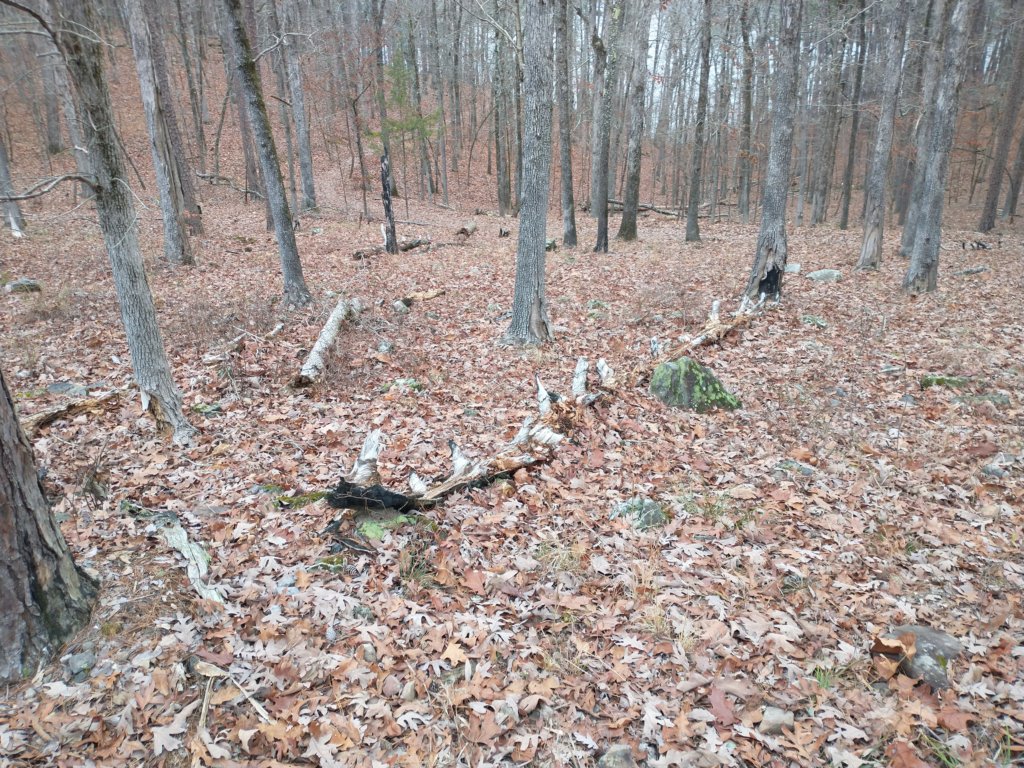 img_20211226_125241875.jpg