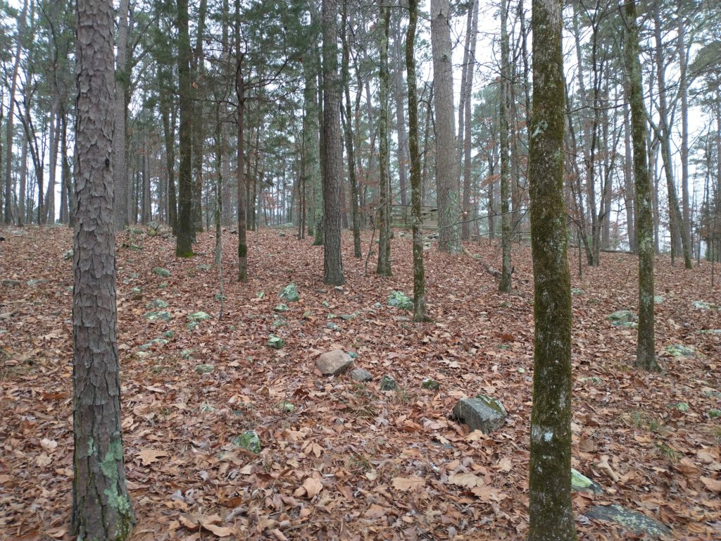 img_20211226_132127005.jpg
