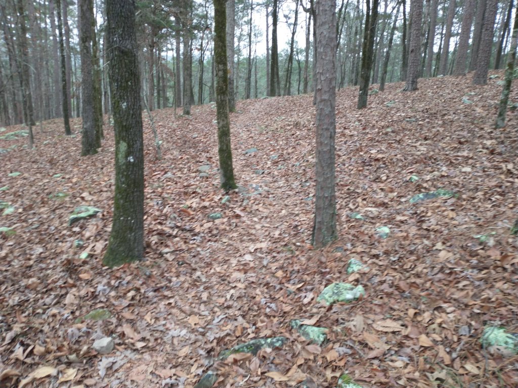 img_20211226_132129781.jpg