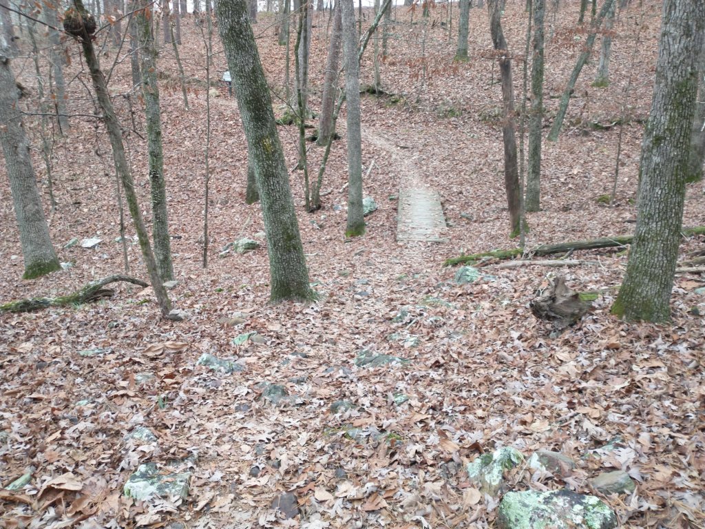 img_20211226_132409139.jpg