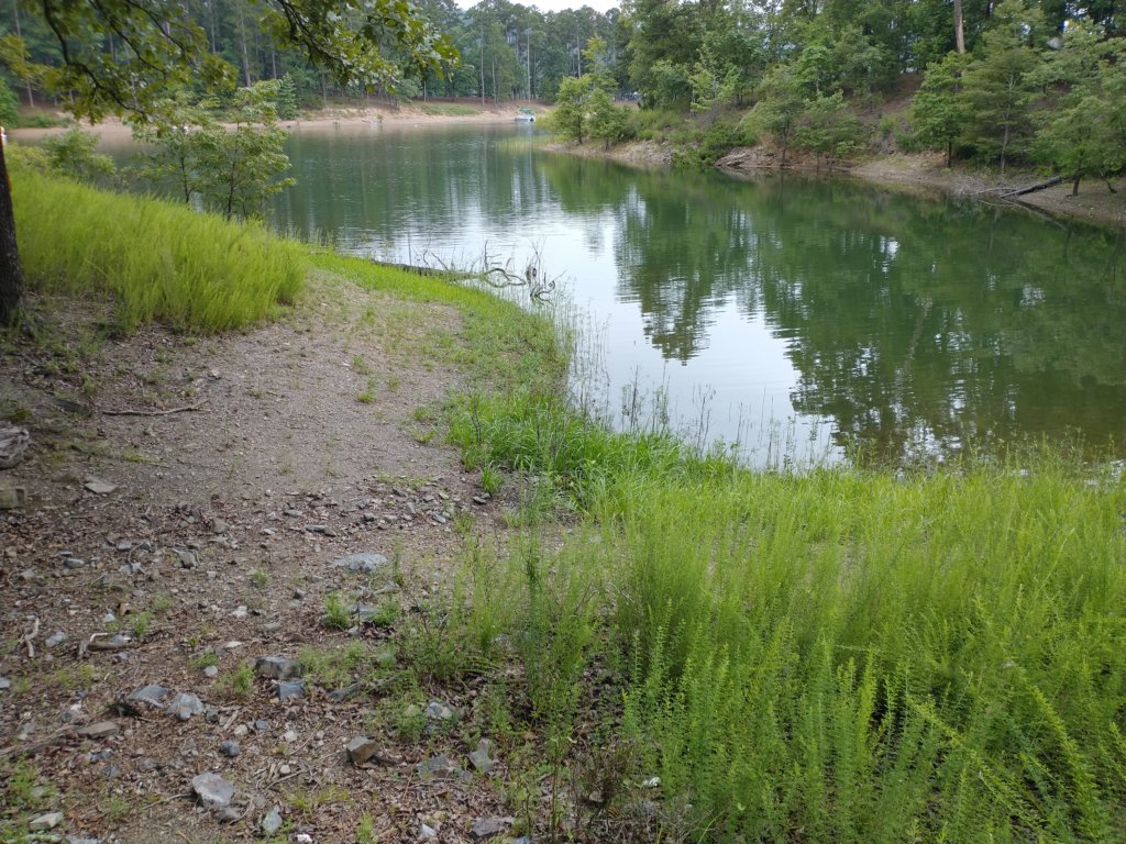 img_20230707_104449007.jpg