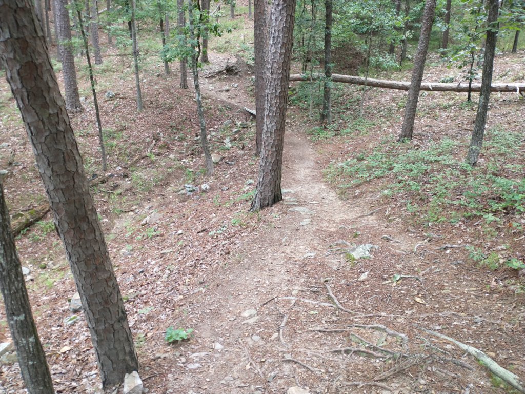 img_20230707_104627916.jpg