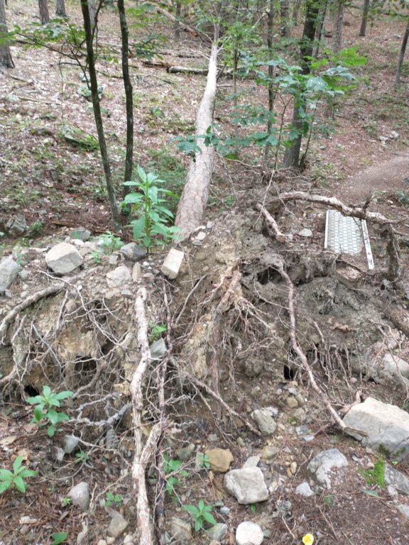 img_20230707_104713546.jpg