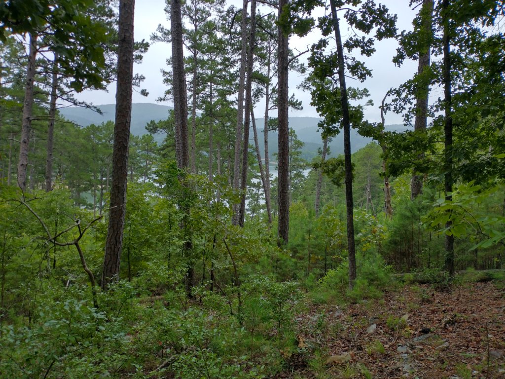 img_20230707_105045236_hdr.jpg