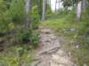 img_20230707_105119550_small.jpg