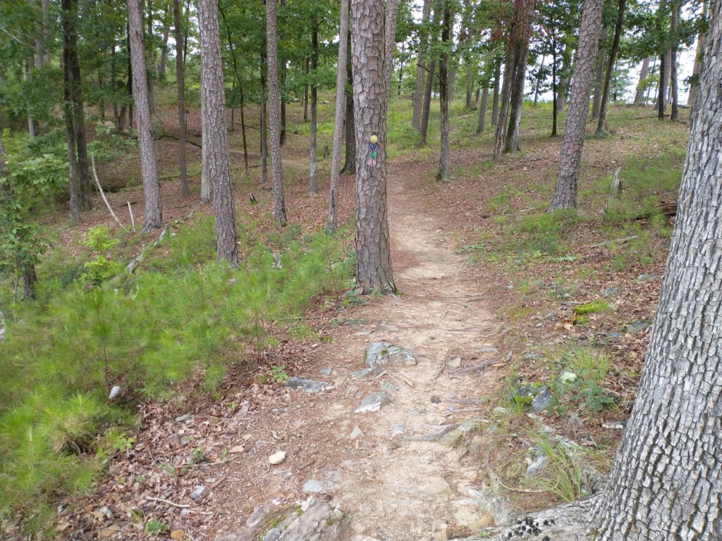 img_20230707_105258343.jpg
