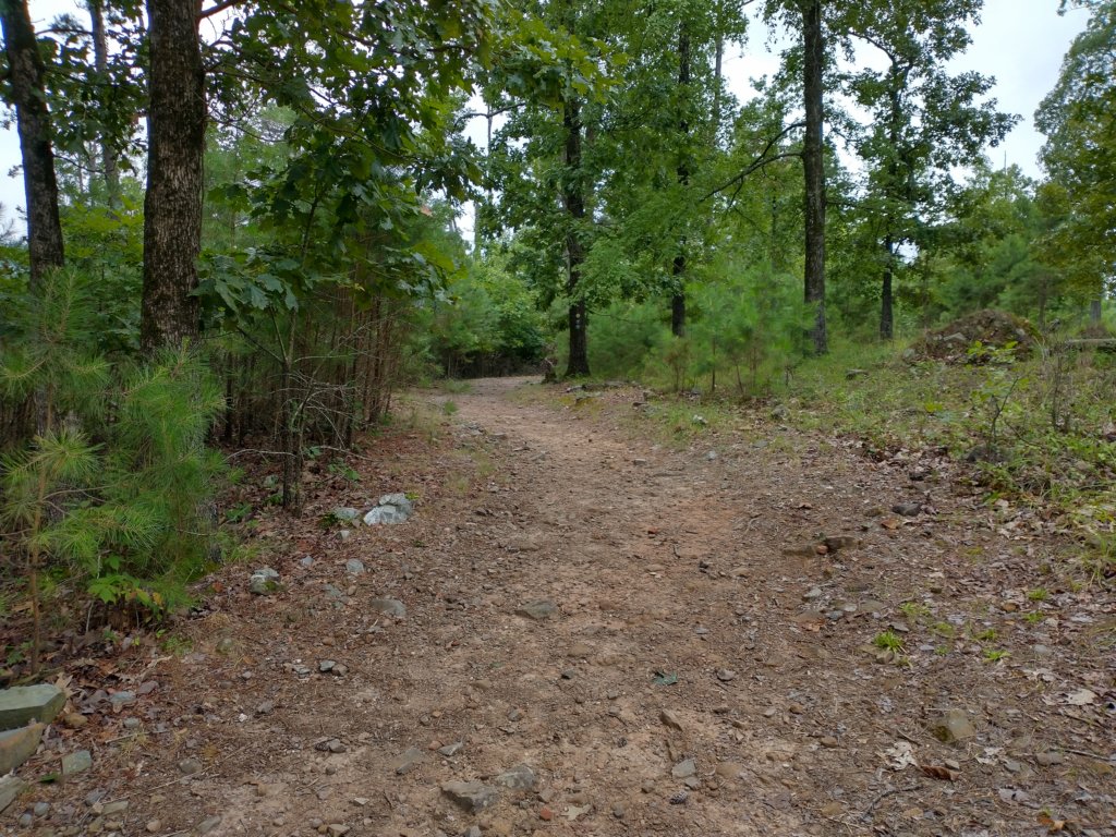 img_20230707_105455059_hdr.jpg