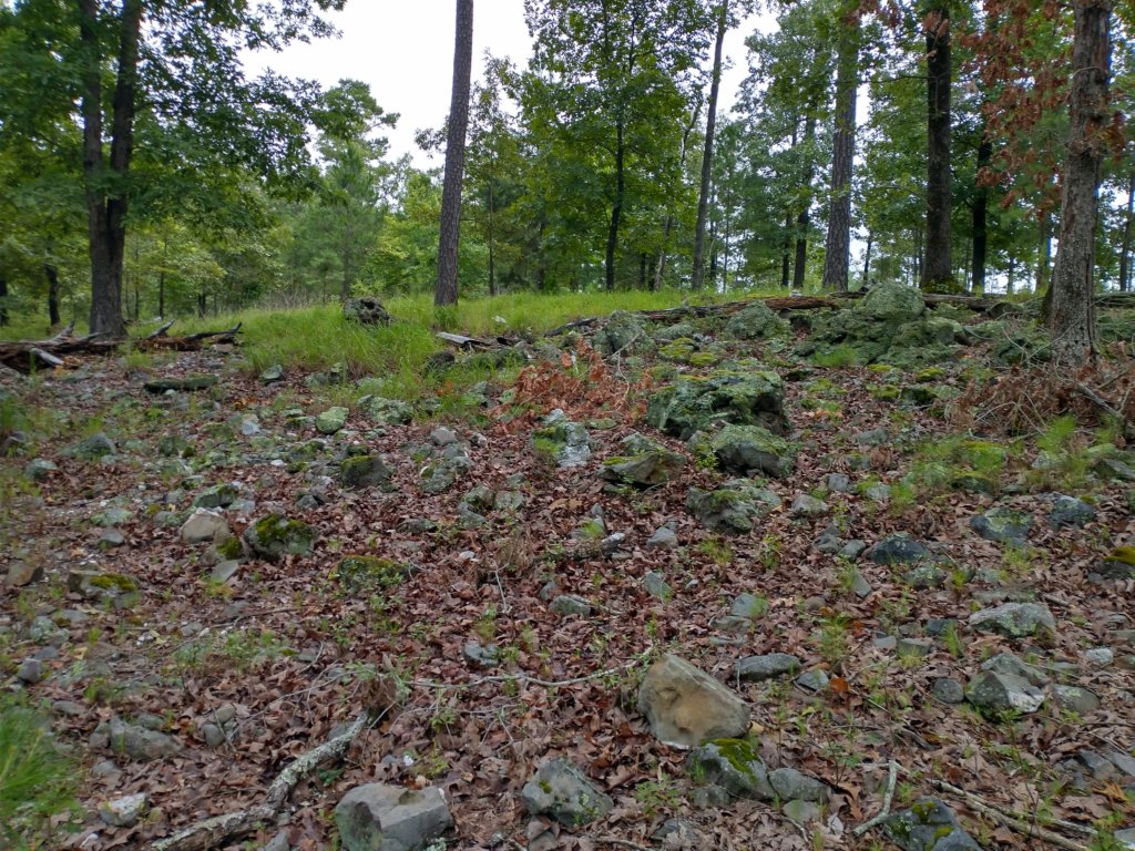 img_20230707_105918148_hdr.jpg