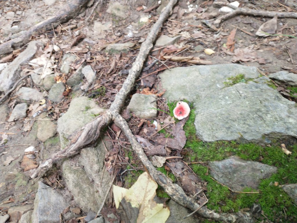 img_20230707_110254767.jpg