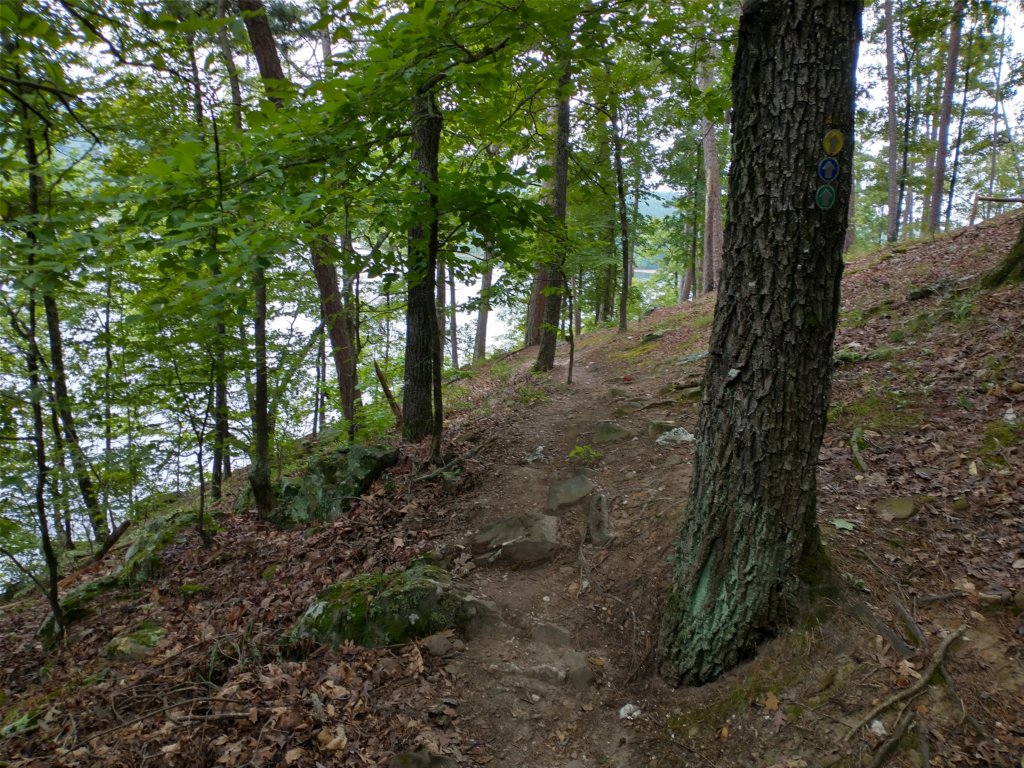 img_20230707_110301328_hdr.jpg
