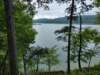 img_20230707_110353611_hdr_small.jpg