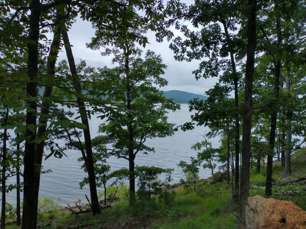 img_20230707_110523212_hdr.jpg