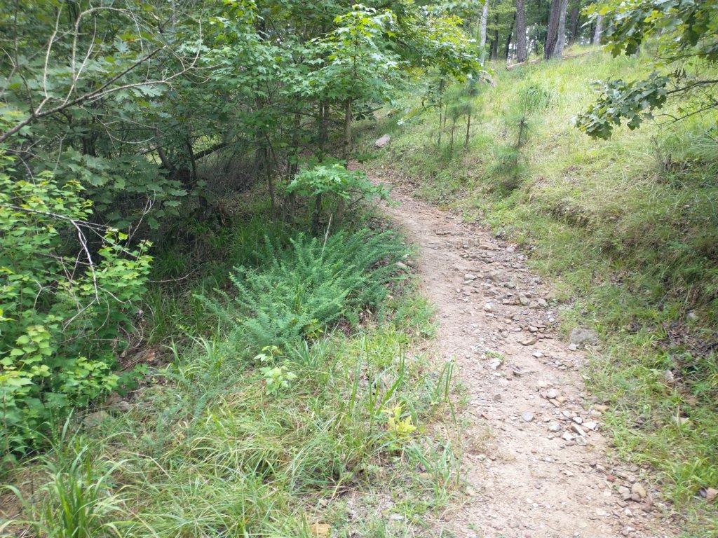 img_20230707_110759976.jpg