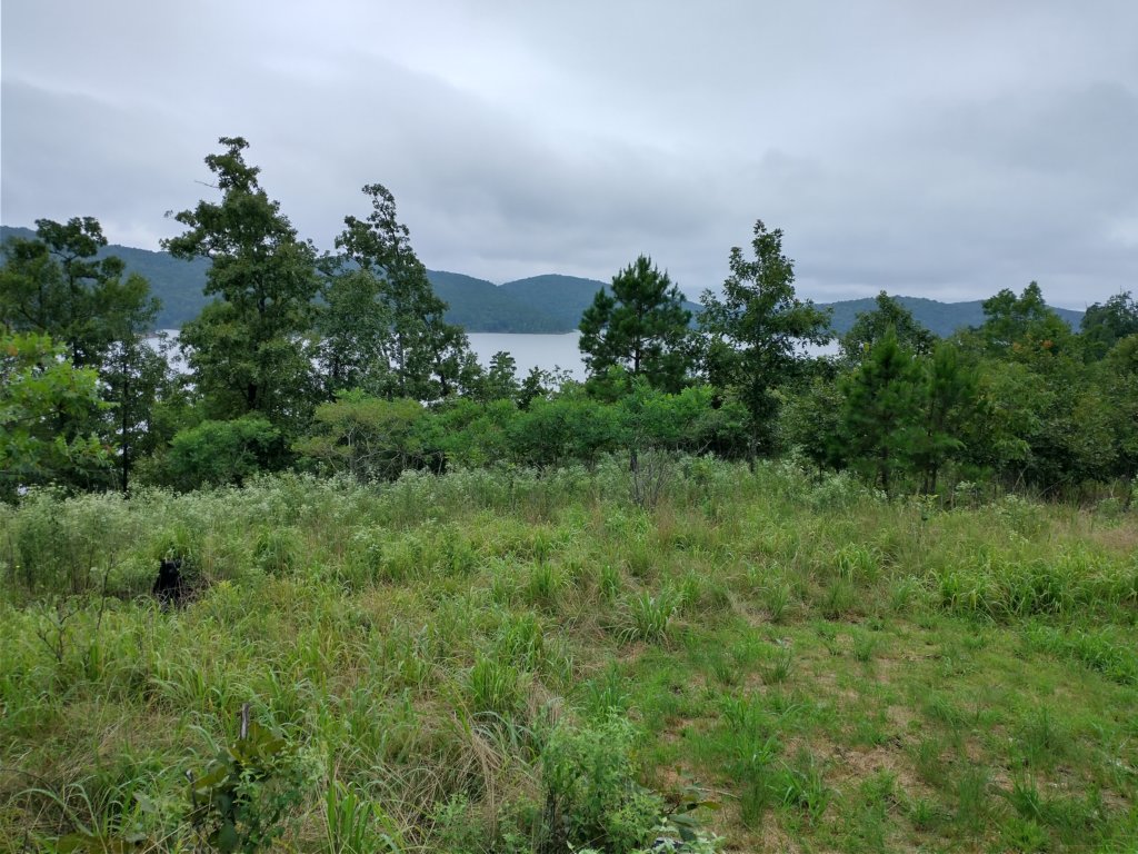 img_20230707_111158646_hdr.jpg