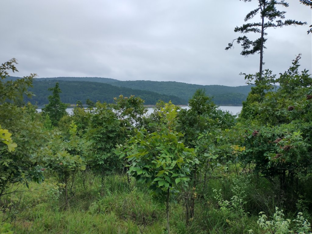 img_20230707_111400668_hdr.jpg