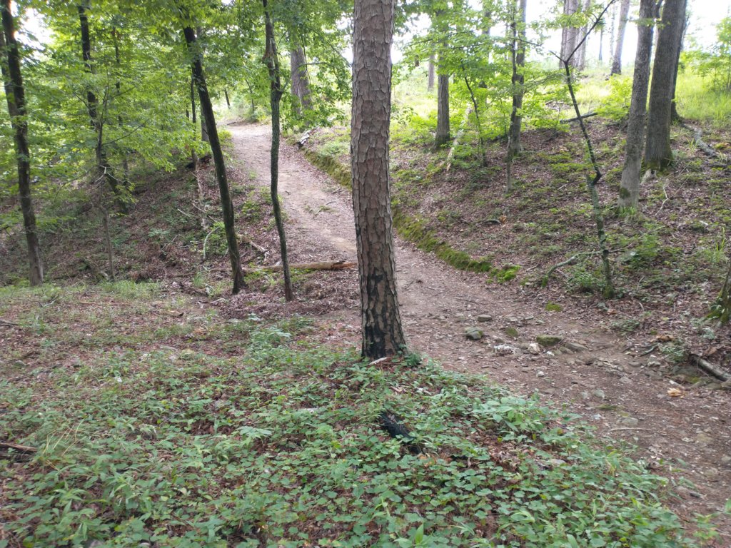 img_20230707_111616909.jpg